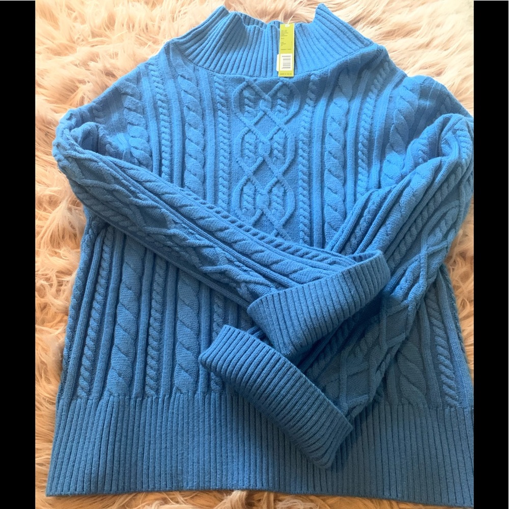 Gianni Bini Sweater